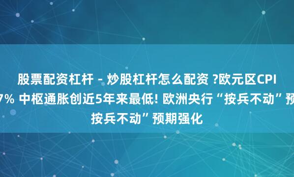 股票配资杠杆 - 炒股杠杆怎么配资 ?欧元区CPI降至1.7% 中枢通胀创近5年来最低! 欧洲央行“按兵不动”预期强化