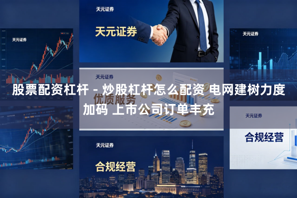 股票配资杠杆 - 炒股杠杆怎么配资 电网建树力度加码 上市公司订单丰充