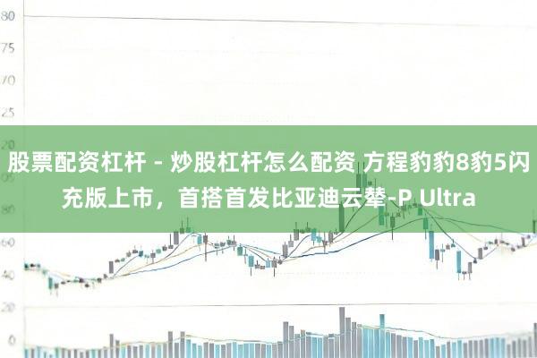 股票配资杠杆 - 炒股杠杆怎么配资 方程豹豹8豹5闪充版上市，首搭首发比亚迪云辇-P Ultra